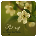 19. Prezentace od Gipsík - Spring elegance